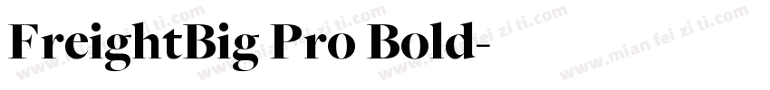FreightBig Pro Bold字体转换
